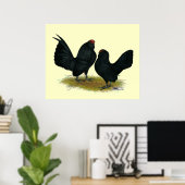 Poster D'Anvers Black Bantams (Bureau à domicile)