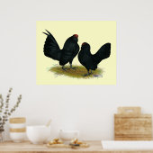 Poster D'Anvers Black Bantams (Cuisine)