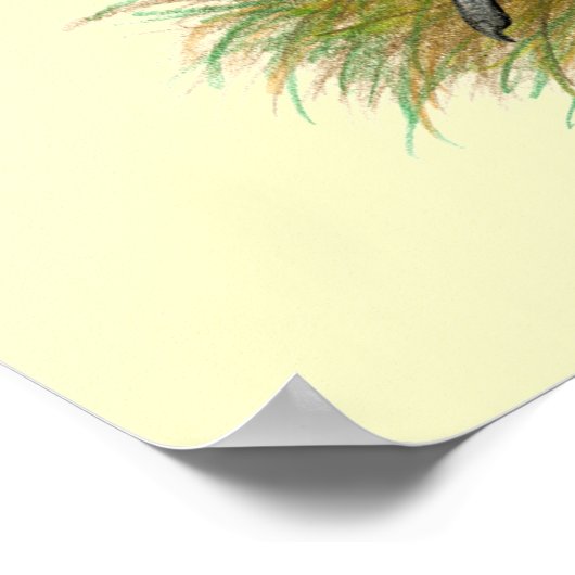 Poster D'Anvers Self Blue Bantams (Coin)