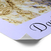 Poster Daphnaie émergente (Coin)