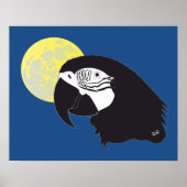 Poster d'Ara (Devant)