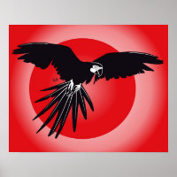 Poster d'Ara
