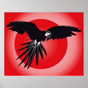 Poster d'Ara