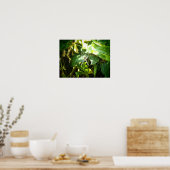 Poster d'araignée Hawaii (Cuisine)