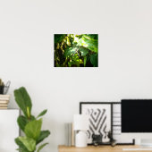 Poster d'araignée Hawaii (Bureau à domicile)
