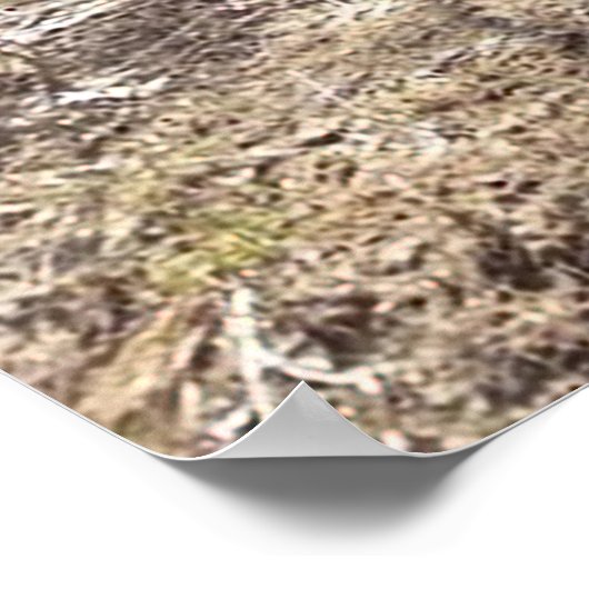 Poster d'arbre Coon Hounds (Coin)