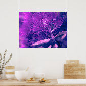 Poster d'arbre pourpre Pohutukawa (Cuisine)