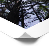 Poster d'arbres dans une forêt. (Coin)