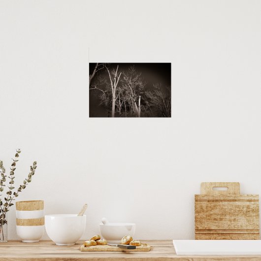 Poster Dark Forest – Haunting Black and White Tree Art (Cuisine)