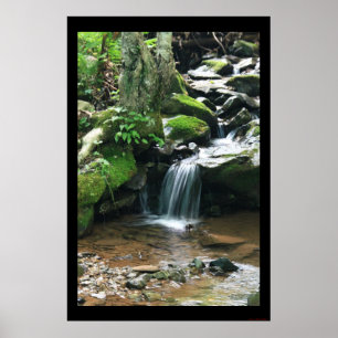 Poster Dark Hollow Falls Imprimer #4838
