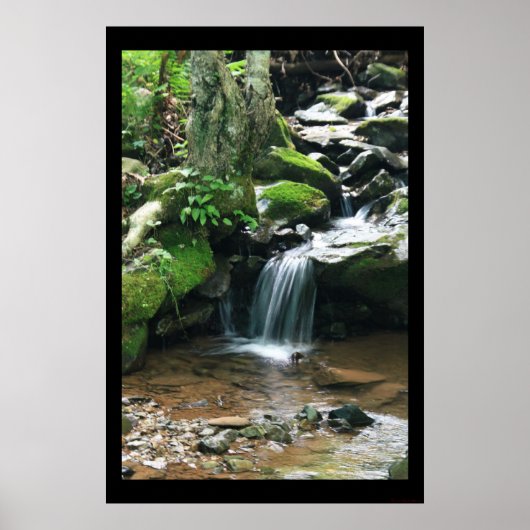 Poster Dark Hollow Falls Imprimer #4838 (Devant)