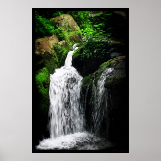 Poster Dark Hollow Falls Imprimer #4982 (Devant)