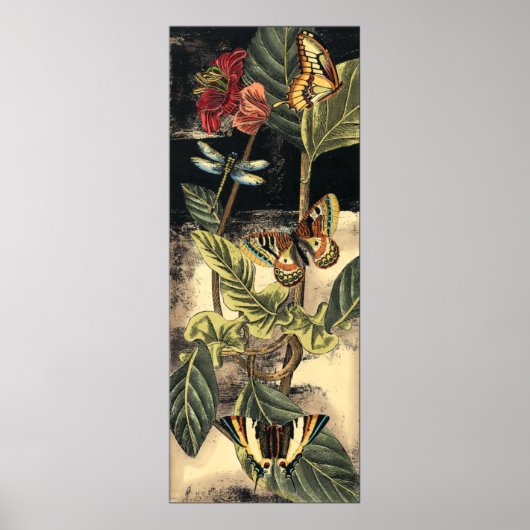 Poster Dark Nature Scene par Vision Studio (Devant)