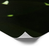 Poster Dark rose peonies (Coin)