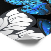 Poster Dark Seamless Pattern with Blue Butterflies Morpho (Coin)