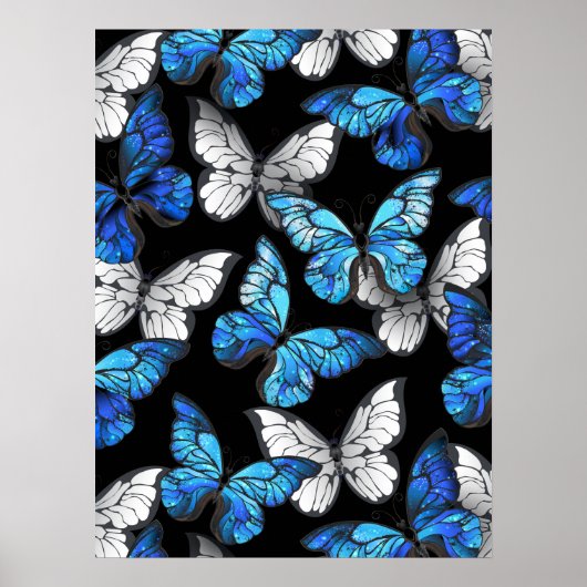 Poster Dark Seamless Pattern with Blue Butterflies Morpho (Devant)