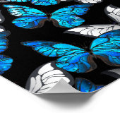 Poster Dark Seamless Pattern with Blue Butterflies Morpho (Coin)