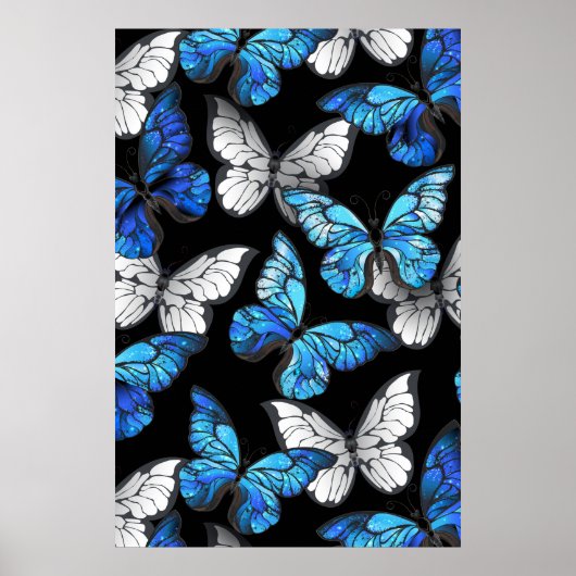 Poster Dark Seamless Pattern with Blue Butterflies Morpho (Devant)