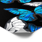Poster Dark Seamless Pattern with Blue Butterflies Morpho (Coin)