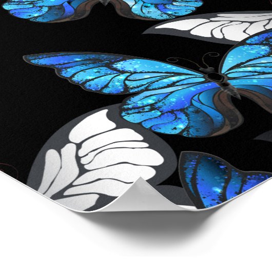 Poster Dark Seamless Pattern with Blue Butterflies Morpho (Coin)