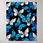 Poster Dark Seamless Pattern with Blue Butterflies Morpho (Devant)