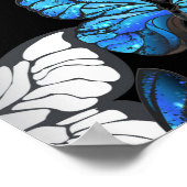 Poster Dark Seamless Pattern with Blue Butterflies Morpho (Coin)