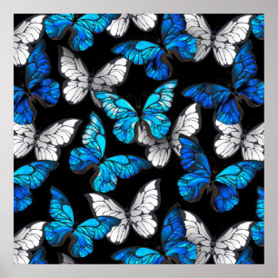 Poster Dark Seamless Pattern with Blue Butterflies Morpho