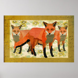 Poster d'art Amber Foxes