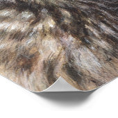 Poster d'art Angel Light Maine Coon (Coin)