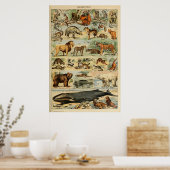 Poster d'art animal vintage (Cuisine)