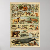 Poster d'art animal vintage (Devant)