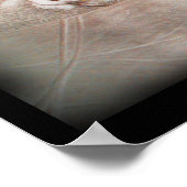 Poster d'art Antelope (Coin)