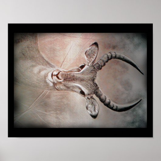 Poster d'art Antelope (Devant)
