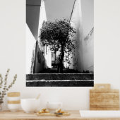 Poster d'art "Arbre au Cap" (Cuisine)