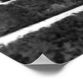 Poster d'art "Arbre au Cap" (Coin)