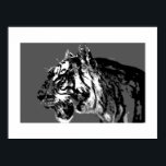 Poster d'art B&W Sibérien Tiger Pop Imprimer<br><div class="desc">Portrait noir et blanc Tigre Pop Art Wild Animaux Art - Tiger Face Pop Art - Portrait Tiger Wild Animals Pop Art - Wild Cats Tiger Head Pop Art Digital Artwork</div>