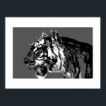 Poster d'art B&W Sibérien Tiger Pop Imprimer<br><div class="desc">Portrait noir et blanc Tigre Pop Art Wild Animaux Art - Tiger Face Pop Art - Portrait Tiger Wild Animals Pop Art - Wild Cats Tiger Head Pop Art Digital Artwork</div>