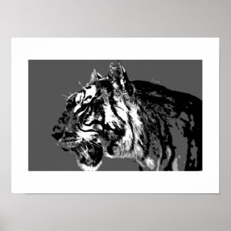 Poster d'art B&W Sibérien Tiger Pop Imprimer