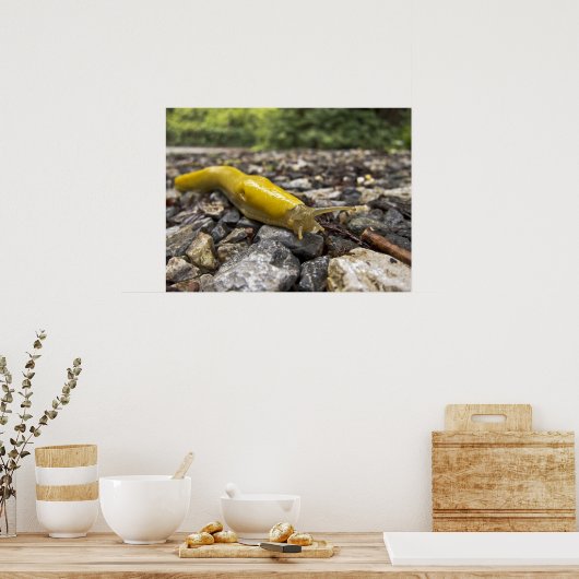 Poster d'art Banana Slug (Cuisine)
