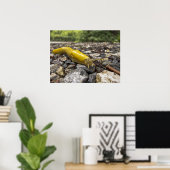 Poster d'art Banana Slug (Bureau à domicile)