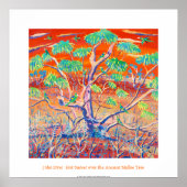 Poster d'art : Banrock Station Sunset Mallee Tree (Devant)