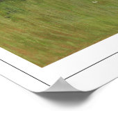 Poster d'art Berthe Morisot Zedign #204 (Coin)