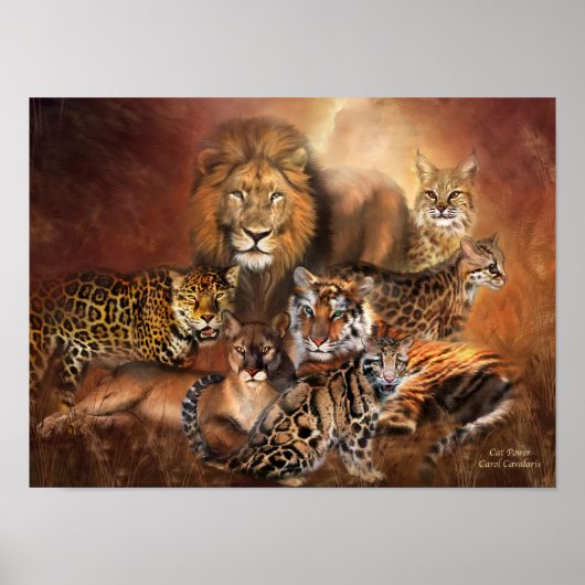 Poster d'art Big Cats/Imprimer (Devant)