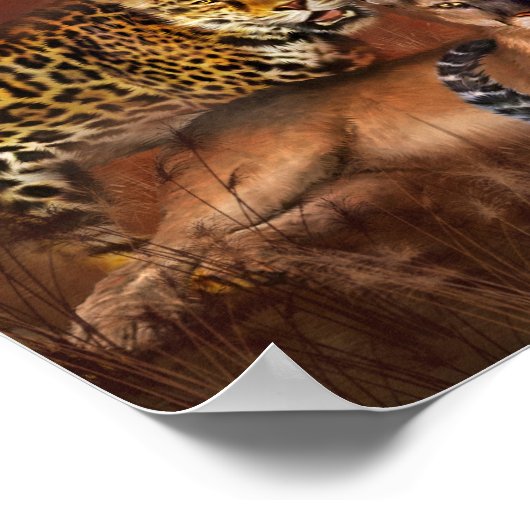Poster d'art Big Cats/Imprimer (Coin)