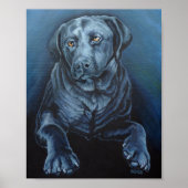 Poster d'art Black Labrador Français Retriever Imp (Devant)