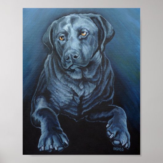 Poster d'art Black Labrador Français Retriever Imp (Devant)