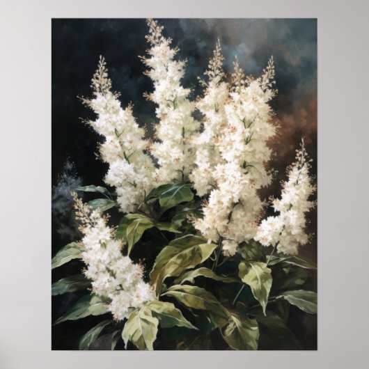 Poster d'art blanc Astilbe Fleurs (Devant)