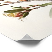 Poster d'art blanc Fleurs de Jojoba (Coin)