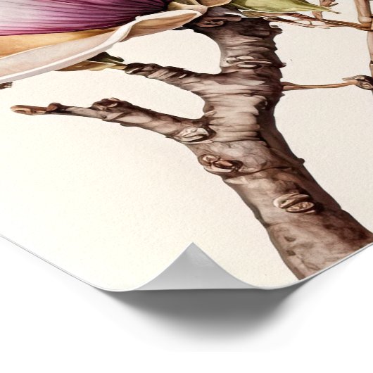 Poster d'art blanc Magnolia Fleurs (Coin)