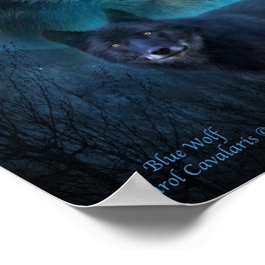 Poster d'art Blue Wolf/Imprimer (Coin)